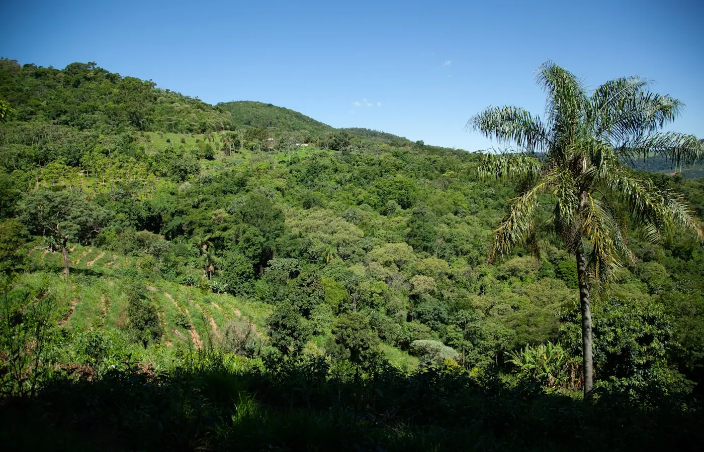 Imagem ilustrativa de paisagem para Paty do Alferes
